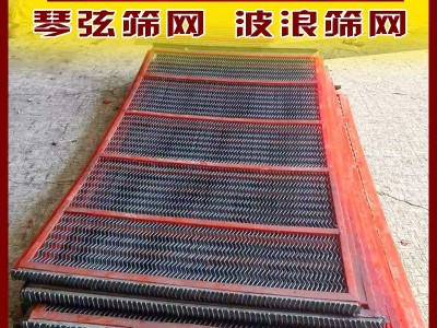 防堵筛网 琴弦筛网 菱形防堵筛网 三角孔防堵筛网图4