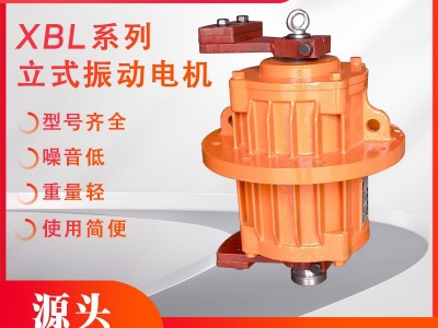 XBL系列法兰式振动电机立式振动电机图1