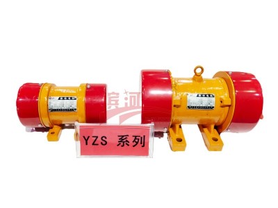 YZS系列三相振动电机滨河电机图4