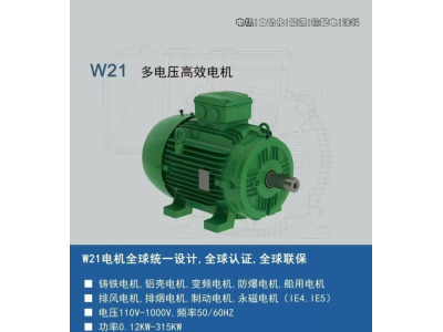 W21	多电压高效电机