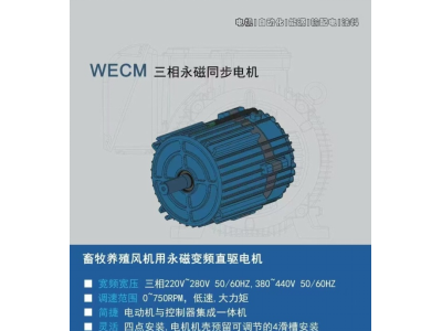 WECM 三相永磁同步电机