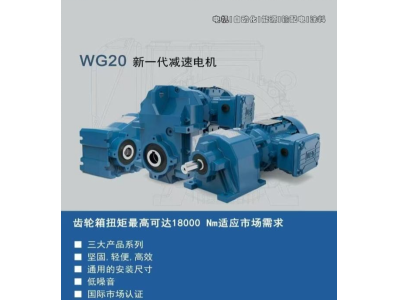 WG20 新一代减速电机