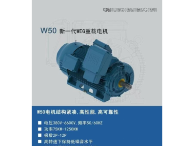 W50 新一代WEG重载电机