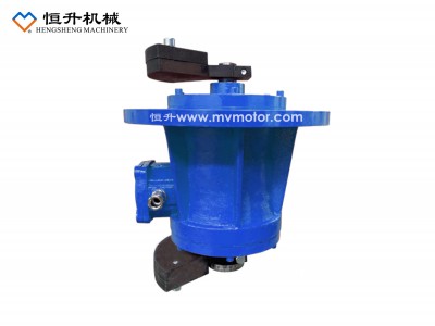 MVE-L系列防爆立式振动电机图1