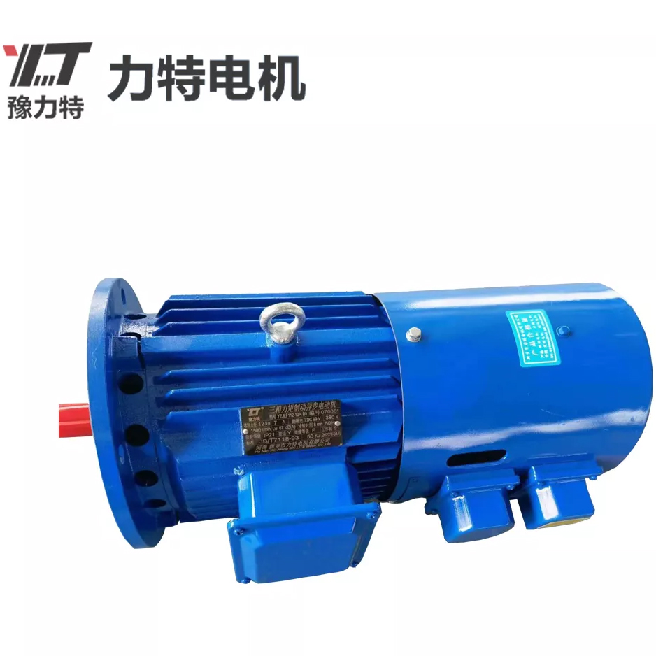 三相力矩长堵带刹车电机