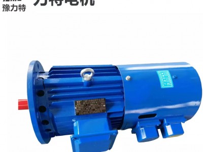 三相力矩长堵带刹车电机